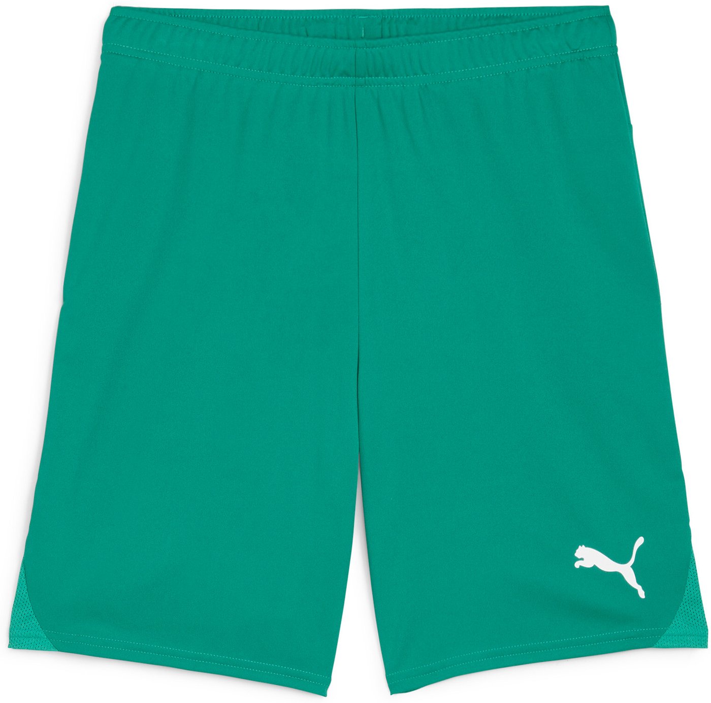 PUMA teamGOAL Shorts Sport Green-PUMA White