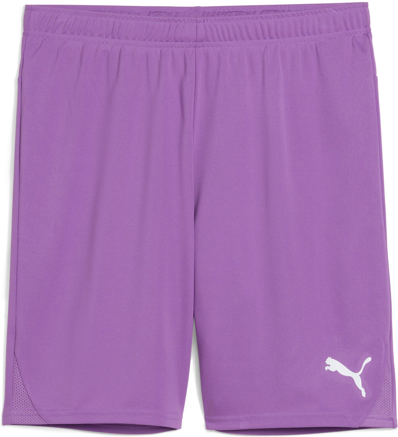 PUMA teamGOAL Shorts Ultraviolet-PUMA White